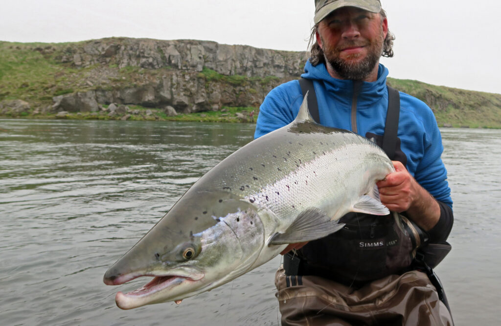 Blanda, Iceland, Aardvark McLeod