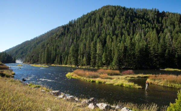 Madison River Lodge, Aardvark McLeod