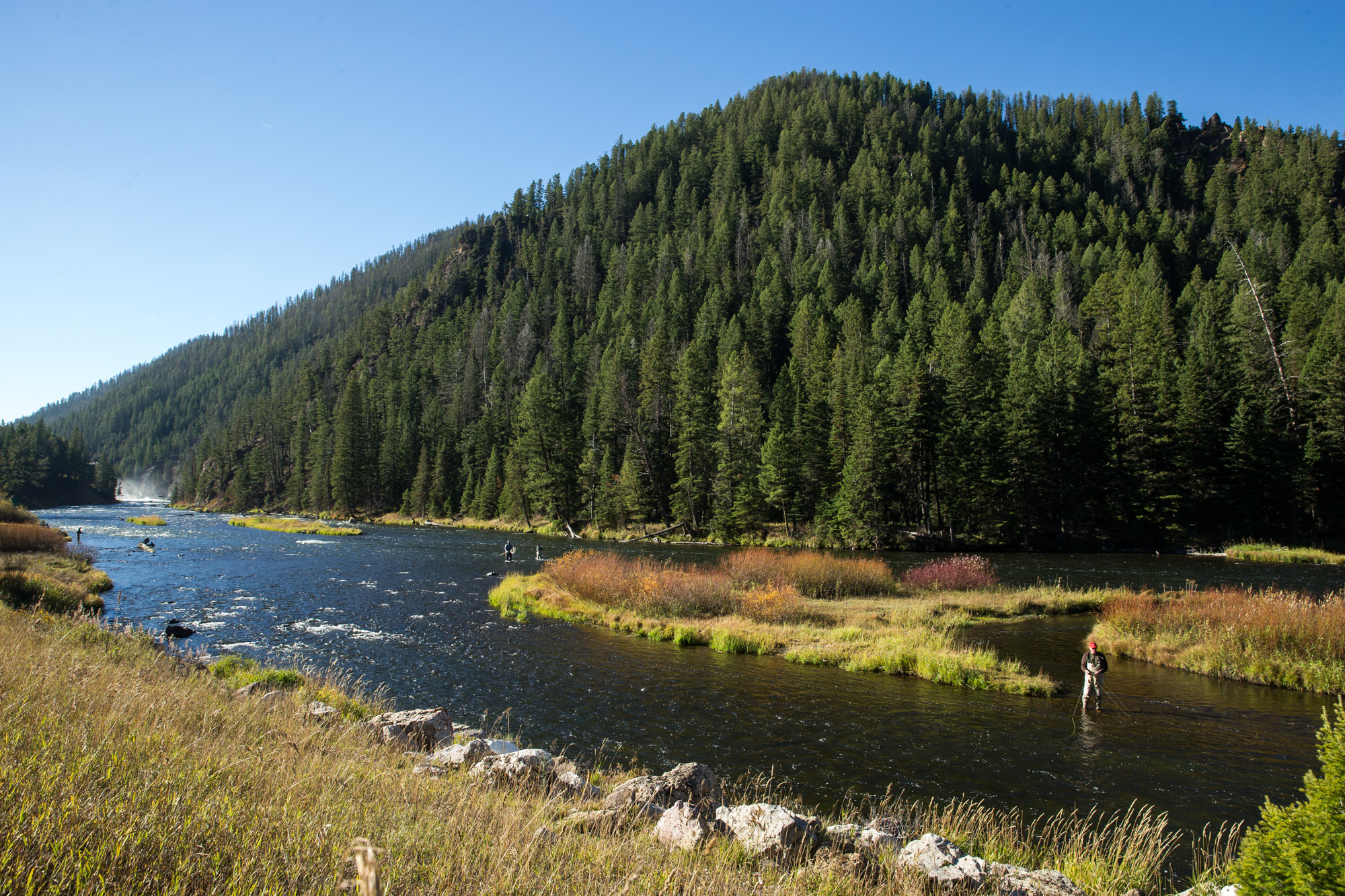 Madison River Lodge, Aardvark McLeod