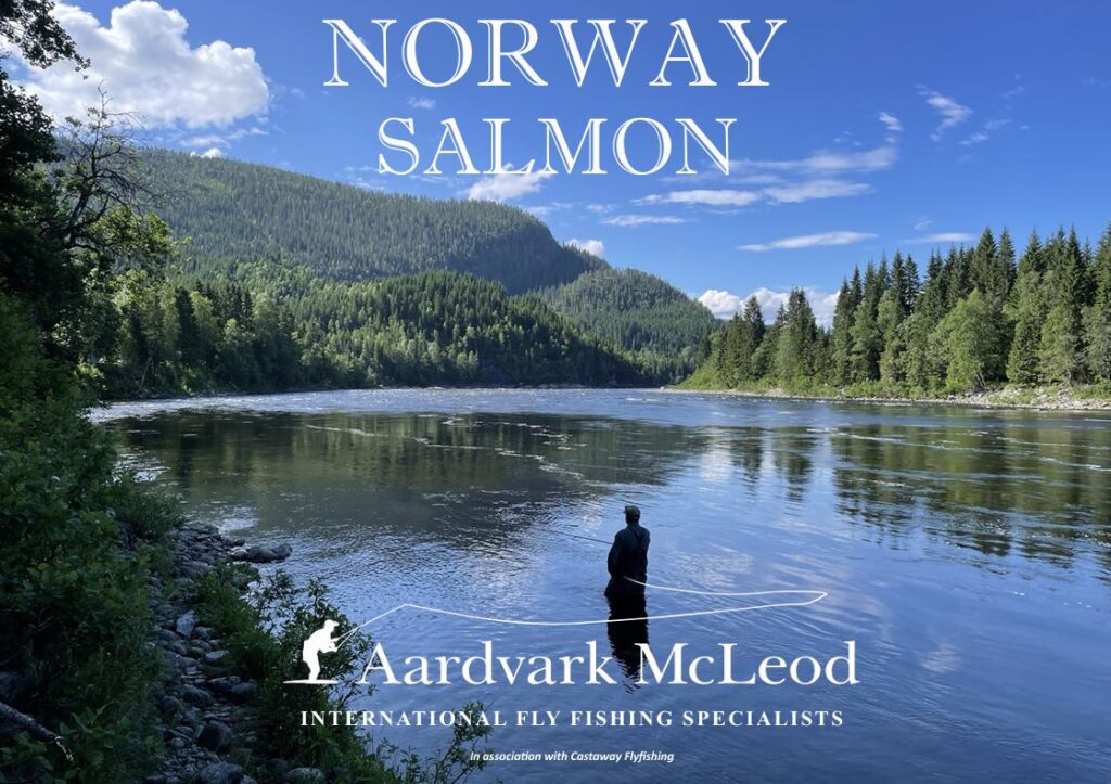 Aardvark McLeod Brochure portfolio, Norway salmon 