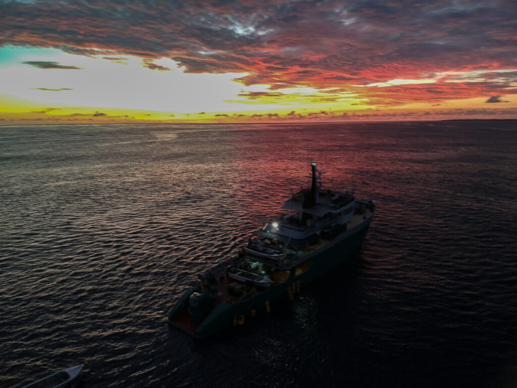 Providence Atoll, Seychelles, Aardvark McLeod
