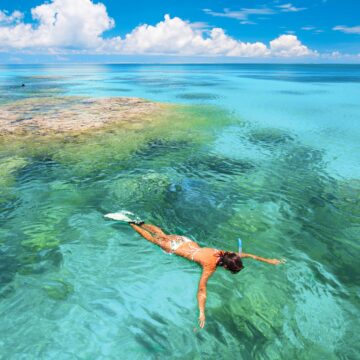 Alphonse Island, wildlife wonderland, Seychelles, Aardvark McLeod