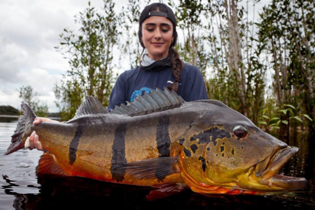 Rio  Marie, Brazil, peacock bass, Aardvark McLeod 