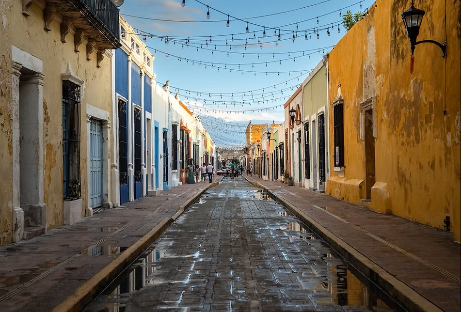 Campeche town, Aardvark McLeod 