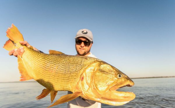 Karanda Lodge, golden drado fishing, Argentina, Aardvark McLeod