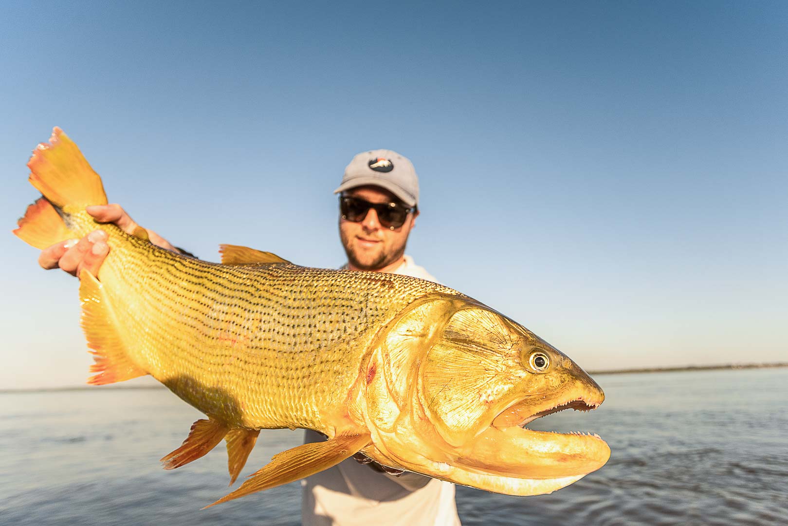 Karanda Lodge, golden drado fishing, Argentina, Aardvark McLeod