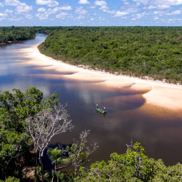 Agua Boa, Brazil, Aardvark McLeod