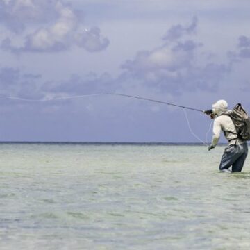 Faraway cays, flyfish Guanaja, Aardvark McLeod