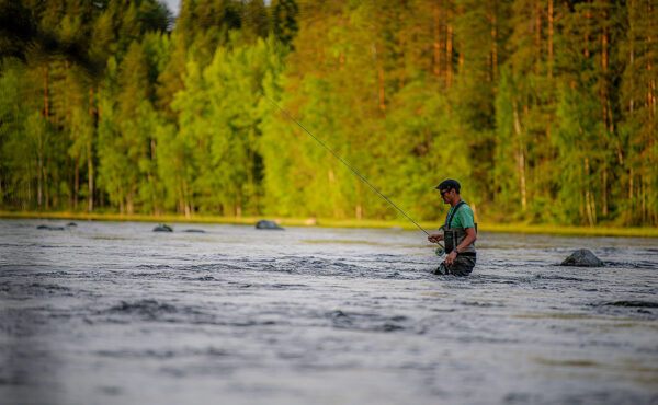 Kellanokoski Lodge, Finland trout fishing, Aardvark McLeod